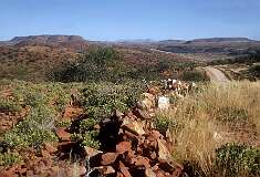View of the scenery at the Petrified forest, west of Khorixas.