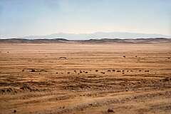 The Namib desert, between Uis and Henties Bay, near the coast.