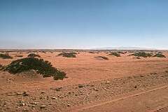 Sand dunes of the Namib desert, between Uis and Henties Bay, near the coast.