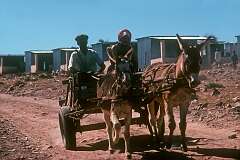 A Nama couple on a donkey cart in the ”location“ of Gibeon.