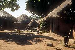 The Karanga Cultural Village near Great Zimbabwe.