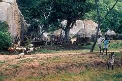 The village of Bikita, about 80 kilometres east of Masvingo.